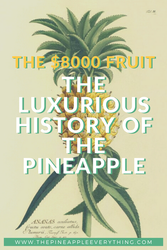THE $8000 FRUIT: THE LUXURIOUS HISTORY OF THE PINEAPPLE